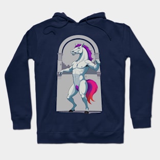 Victorious centaur Hoodie